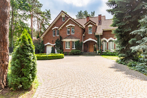 Best Best Driveway Pavers  in Williston Highlands, FL