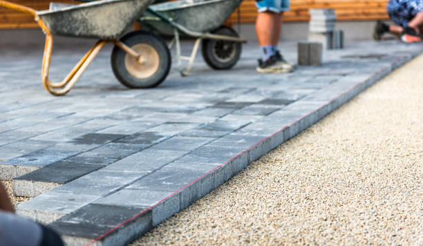 Best Local Driveway Pavers  in Williston Highlands, FL