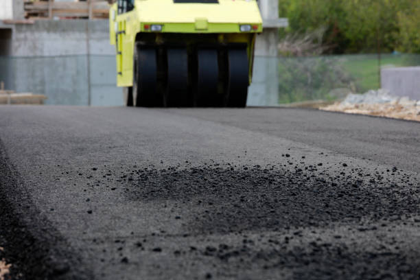 Best Interlocking Driveway Pavers  in Williston Highlands, FL