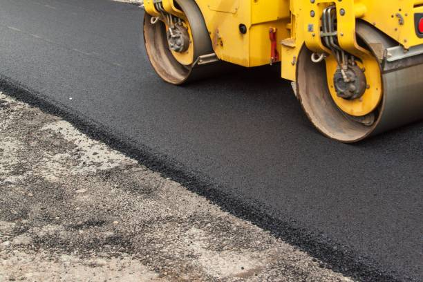 Best Driveway Pavers Cost  in Williston Highlands, FL