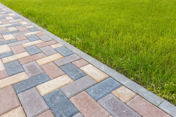 Best Residential Driveway Paver Services  in Williston Highlands, FL